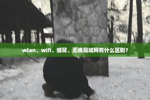 wlan、wifi、蜂窝、无线局域网有什么区别？