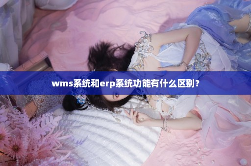 wms系统和erp系统功能有什么区别？