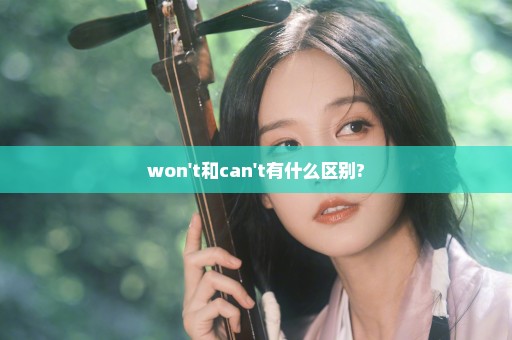 won't和can't有什么区别?