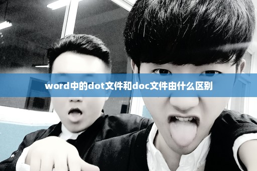 word中的dot文件和doc文件由什么区别