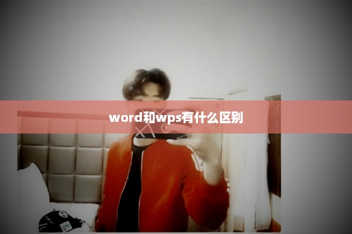 word和wps有什么区别