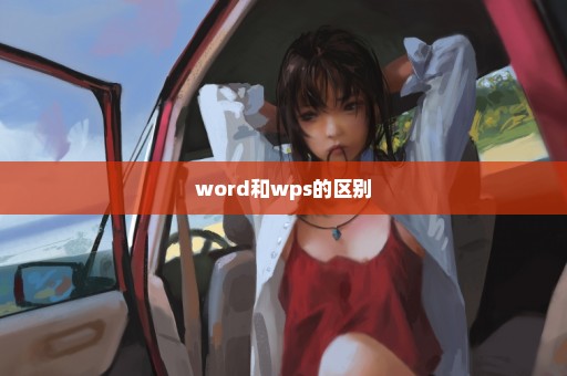 word和wps的区别