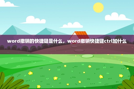 word撤销的快捷键是什么，word撤销快捷键ctrl加什么 