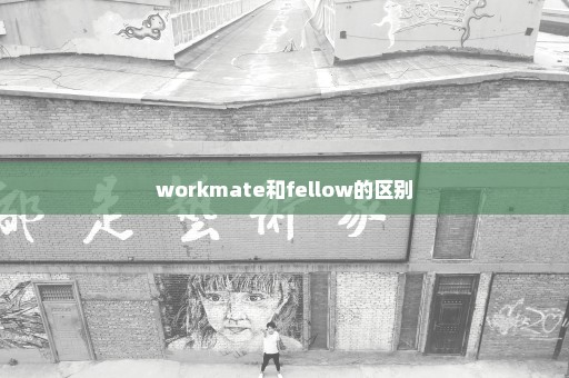 workmate和fellow的区别