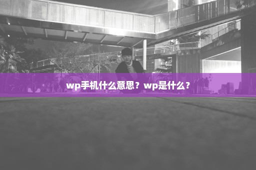 wp手机什么意思？wp是什么？