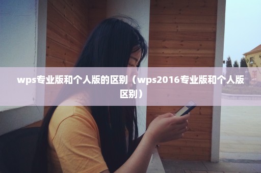 wps专业版和个人版的区别（wps2016专业版和个人版区别）