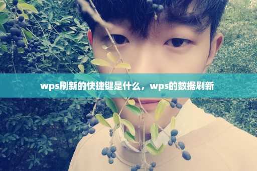 wps刷新的快捷键是什么，wps的数据刷新 