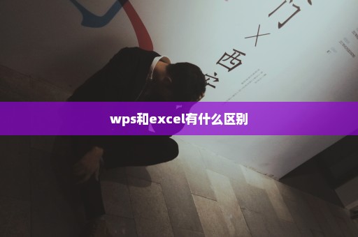 wps和excel有什么区别