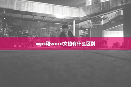 wps和word文档有什么区别