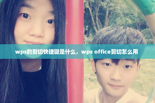 wps的剪切快捷键是什么，wps office剪切怎么用 