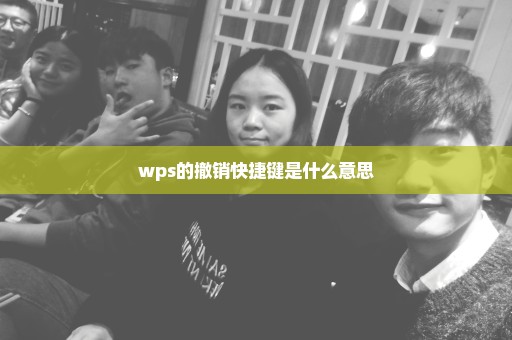 wps的撤销快捷键是什么意思