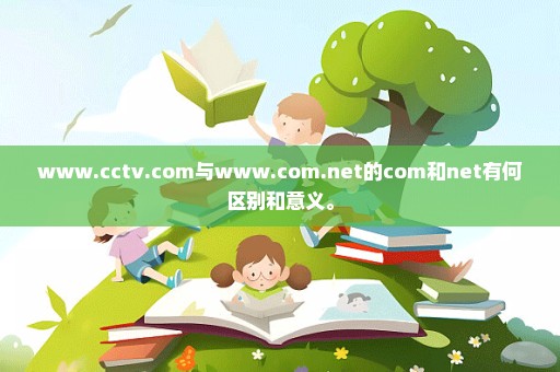 www.cctv.com与www.com.net的com和net有何区别和意义。