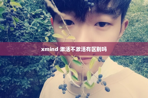 xmind 激活不激活有区别吗