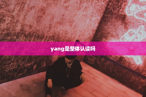 yang是整体认读吗