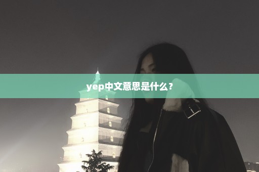 yep中文意思是什么？