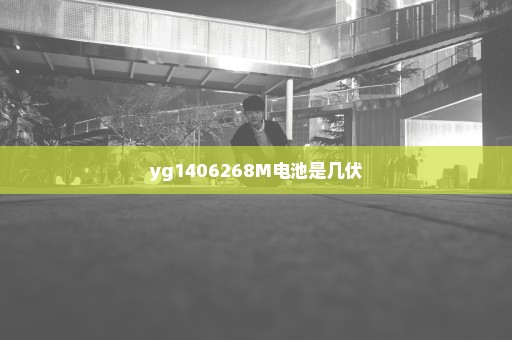 yg1406268M电池是几伏