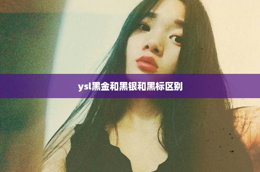 ysl黑金和黑银和黑标区别